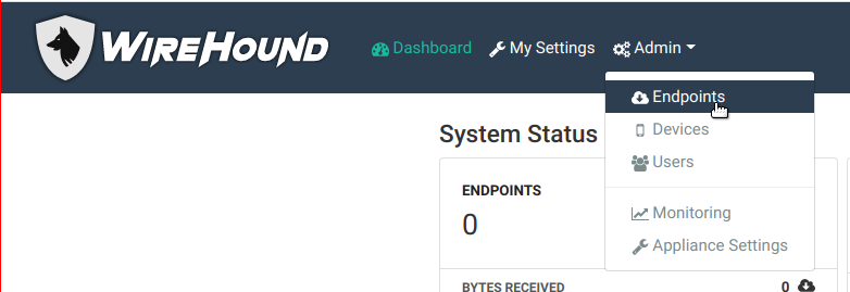 Clicking the endpoints item