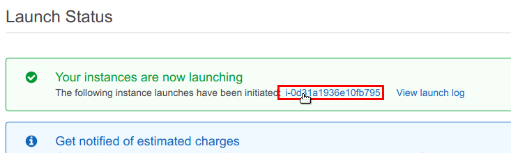 The instance ID link on the confirmation page